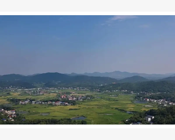 中药除湿气的功效与注意事项